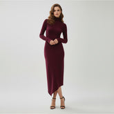 SaintGarnier™ | Aubergine Turtleneck Dress