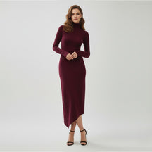SaintGarnier™ | Aubergine Turtleneck Dress