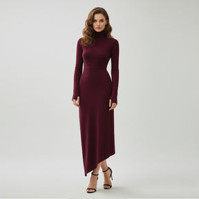 SaintGarnier™ | Aubergine Turtleneck Dress