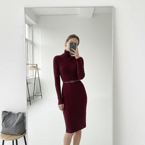 SaintGarnier™ | Burgundy Turtleneck Dress
