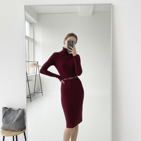 SaintGarnier™ | Burgundy Turtleneck Dress