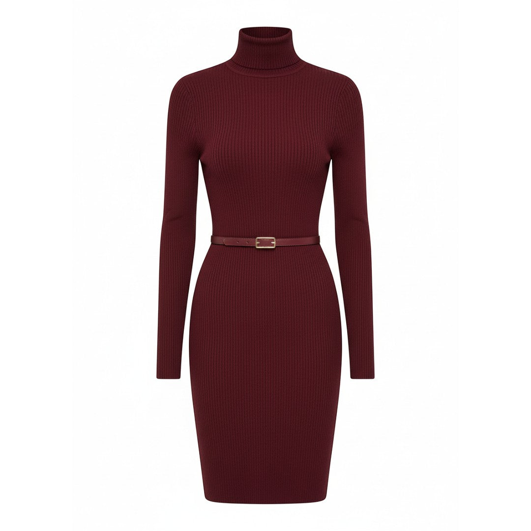 SaintGarnier™ | Burgundy Turtleneck Dress