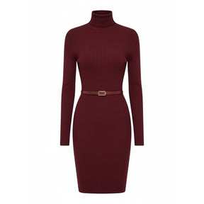 SaintGarnier™ | Burgundy Turtleneck Dress