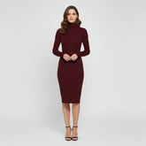 SaintGarnier™ | Burgundy Turtleneck Dress